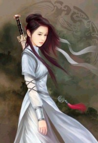 傻驸马